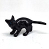 copy of Cat