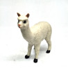 Llama