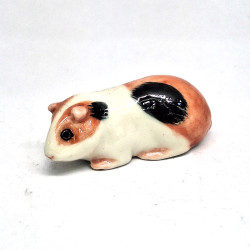 Rat