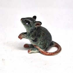 Rat