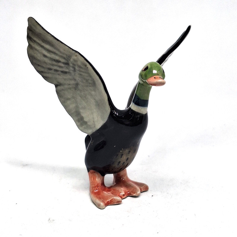 Duck