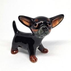 Black Chihuahua Dog