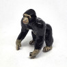 Kingkong