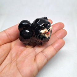 Black Pomeranian