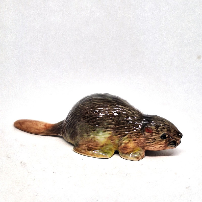 Beaver