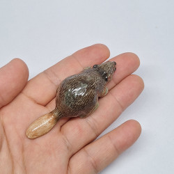 Beaver