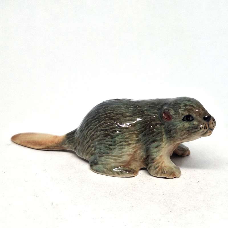Beaver