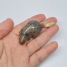 Beaver