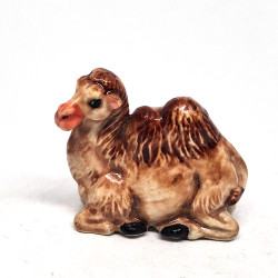 Camel