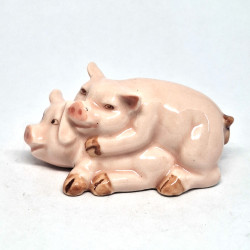 Pig