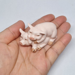 Pig