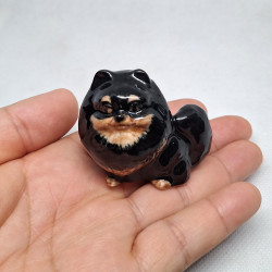 Black Pomeranian