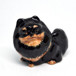 Black Pomeranian