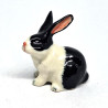 copy of Rabbit