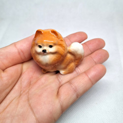 Brown Pomeranian
