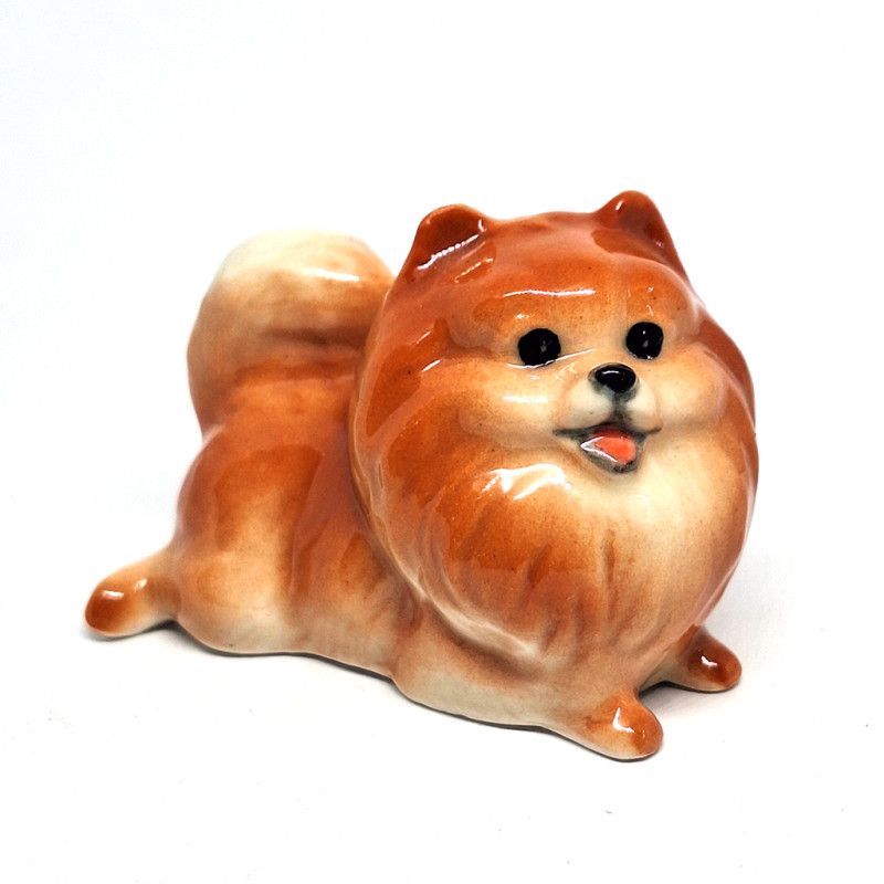 Brown Pomeranian