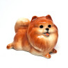 Brown Pomeranian