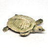 copy of Turtle