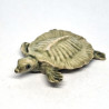 copy of Turtle