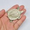 copy of Turtle