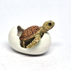 Turtle in Egg