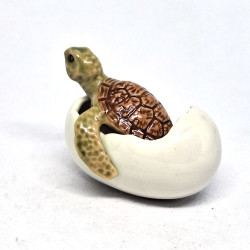 Turtle in Egg