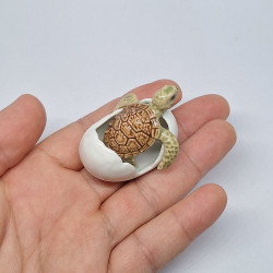 Turtle in Egg