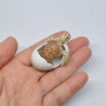 Turtle in Egg