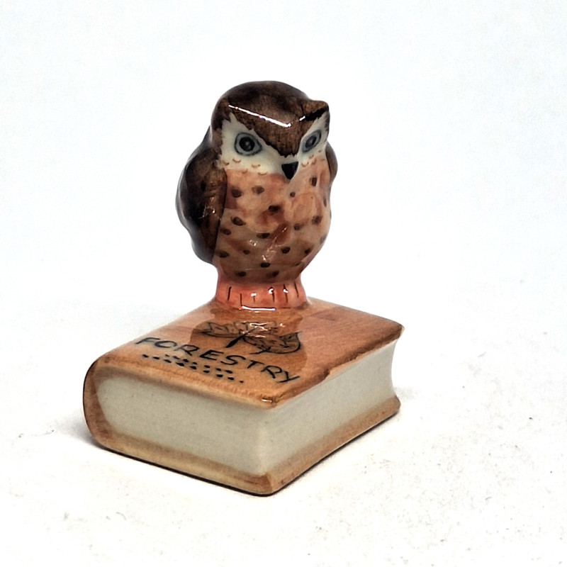 Owl On Book