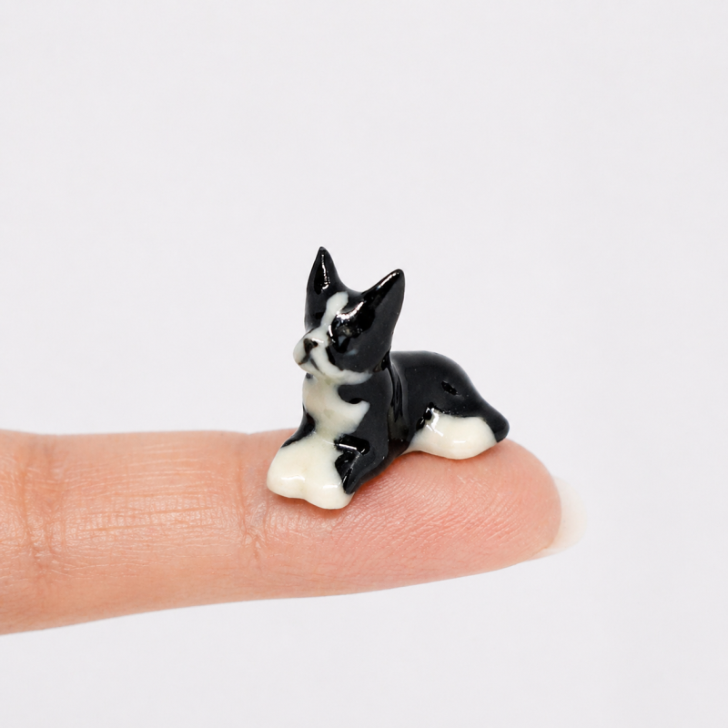 Tiny Boxer