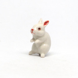 Tiny Rabbit