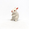 Tiny Rabbit