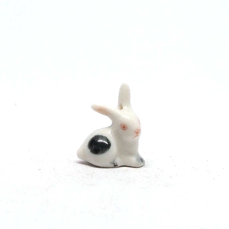 Tiny Rabbit