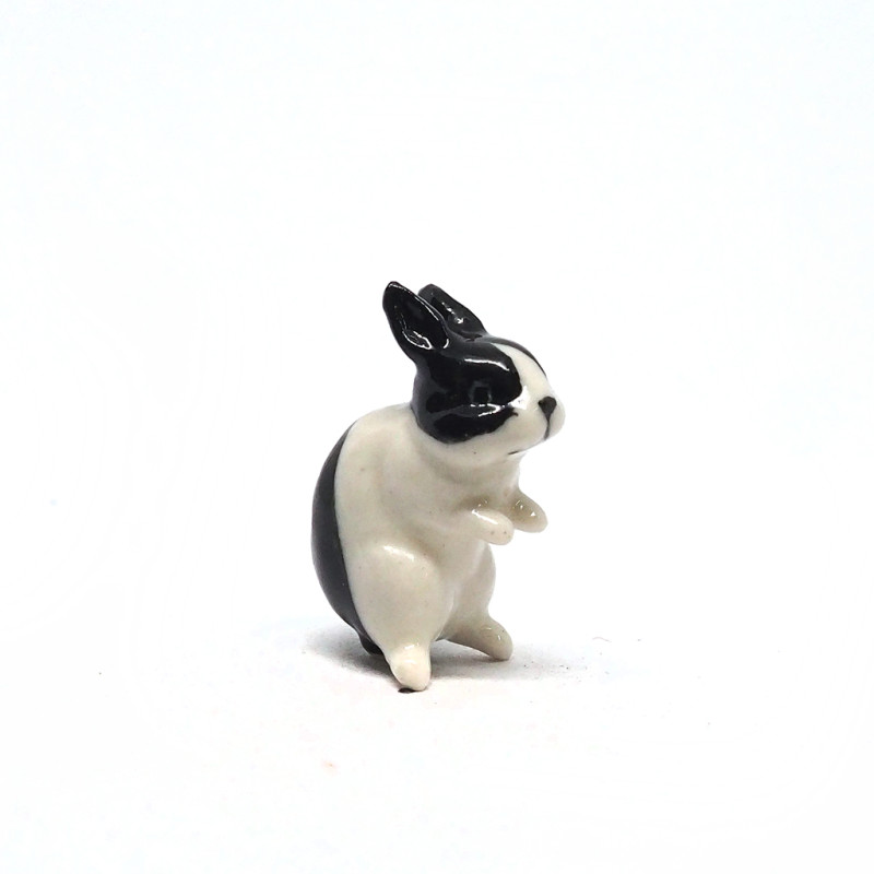 Tiny Rabbit