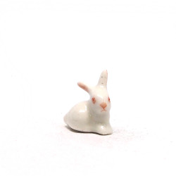 Tiny Rabbit