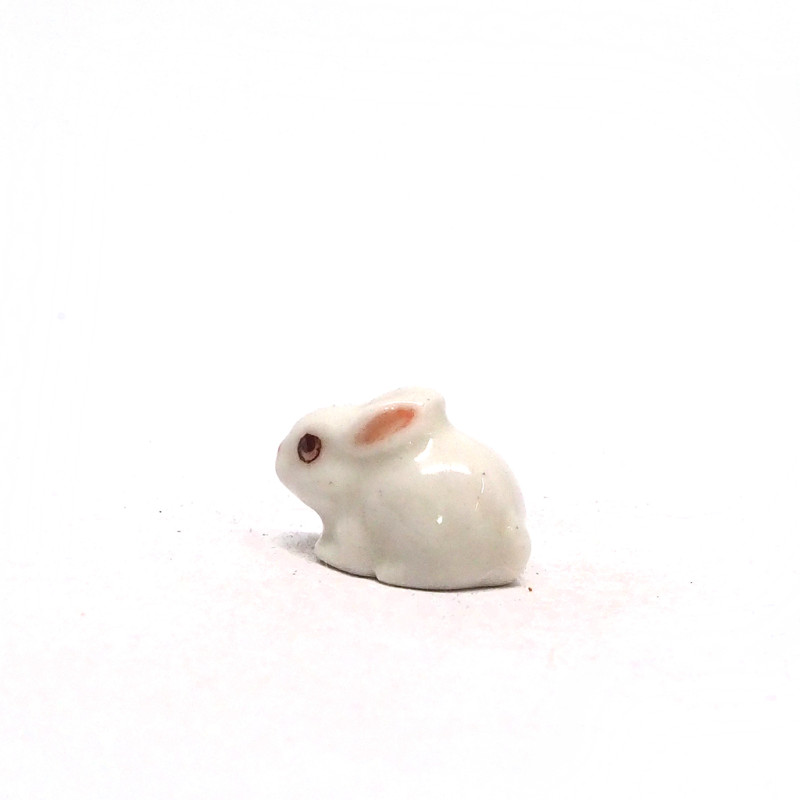 Tiny Rabbit