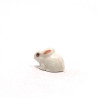 Tiny Rabbit