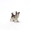 Tiny Dog