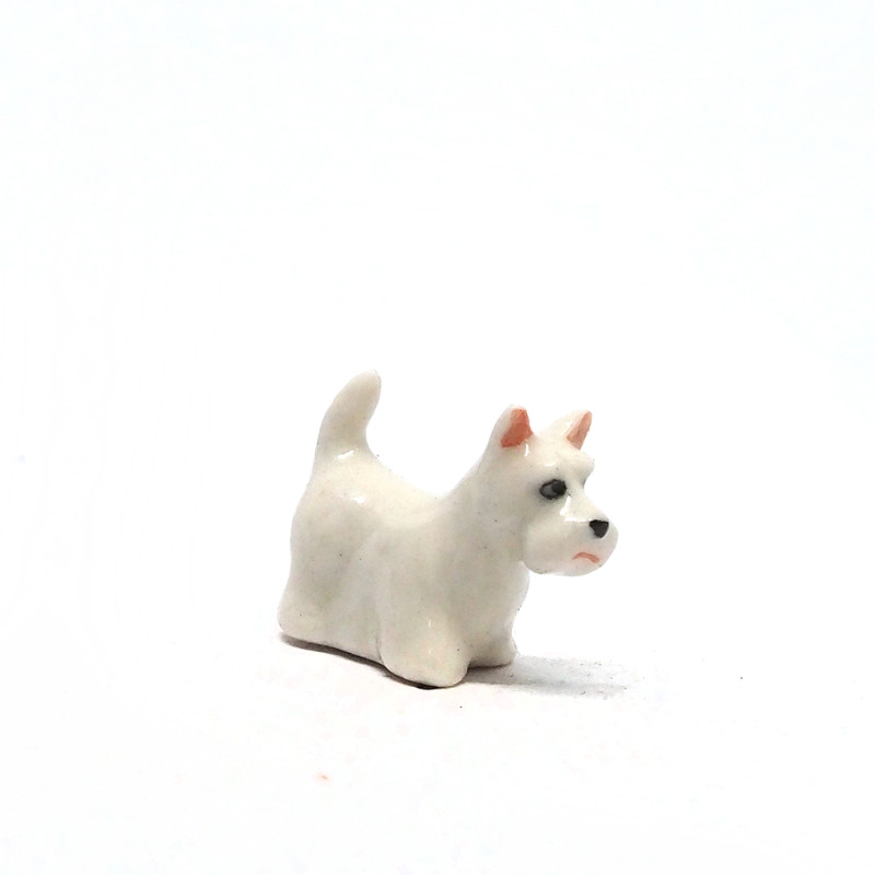 Tiny Dog