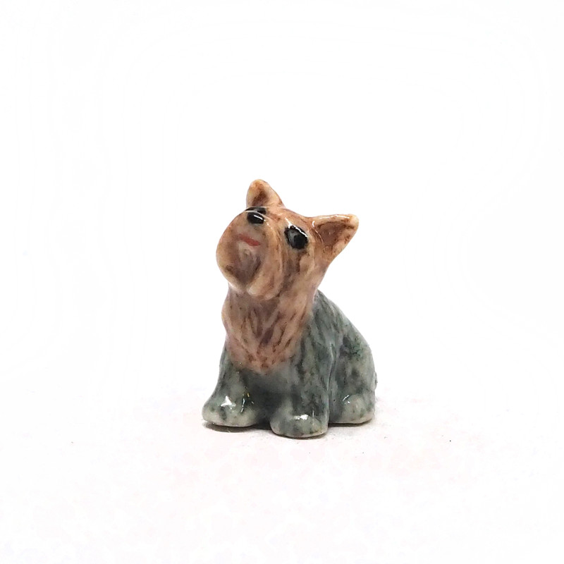 Tiny Dog