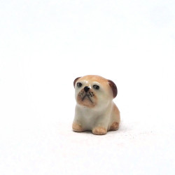 Tiny Dog