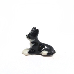 Tiny Dog