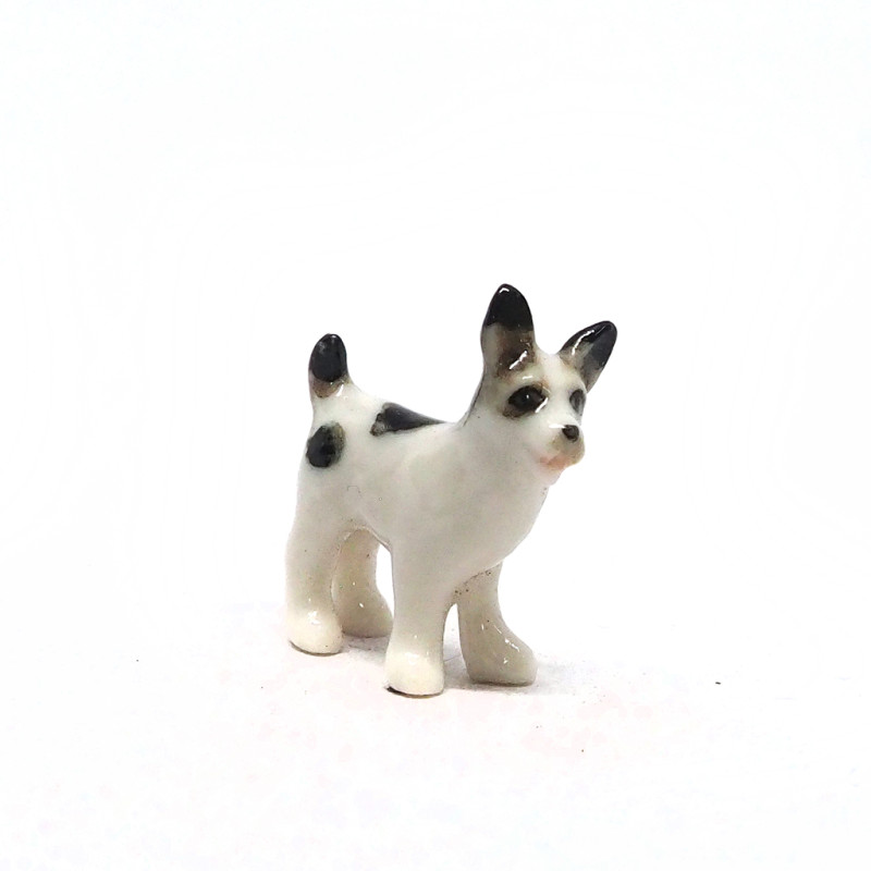 Tiny Dog