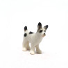 Tiny Dog