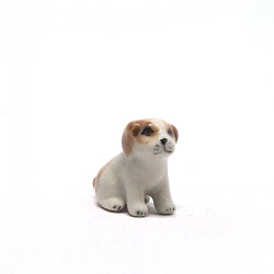 Tiny Dog