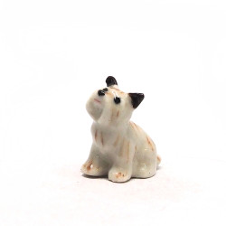 Tiny Dog