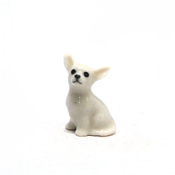 Tiny Dog