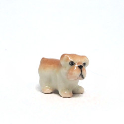 Tiny Dog