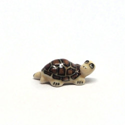 Tiny Turtle