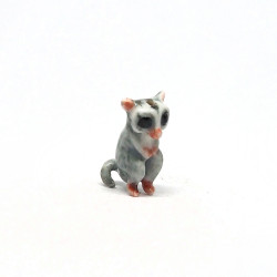 Tiny Raccoon